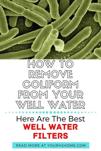 The 5 Best Filters To Remove Coliform Bacteria From Well Water Your H2home