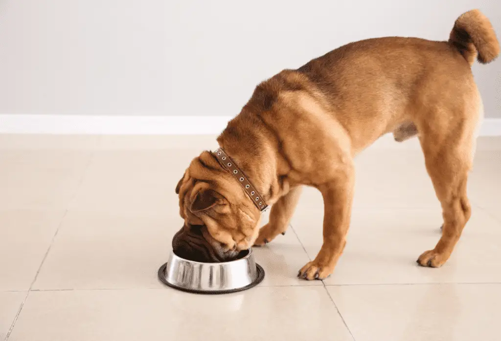 Alkaline Water Archives Your H2Home