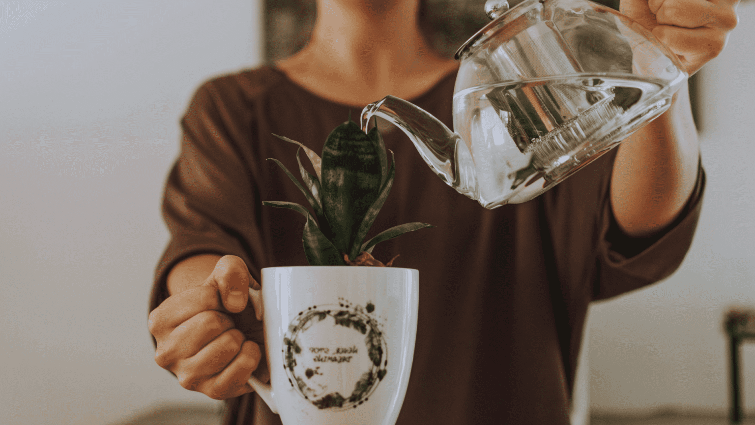 Alkaline Water Archives Your H2Home