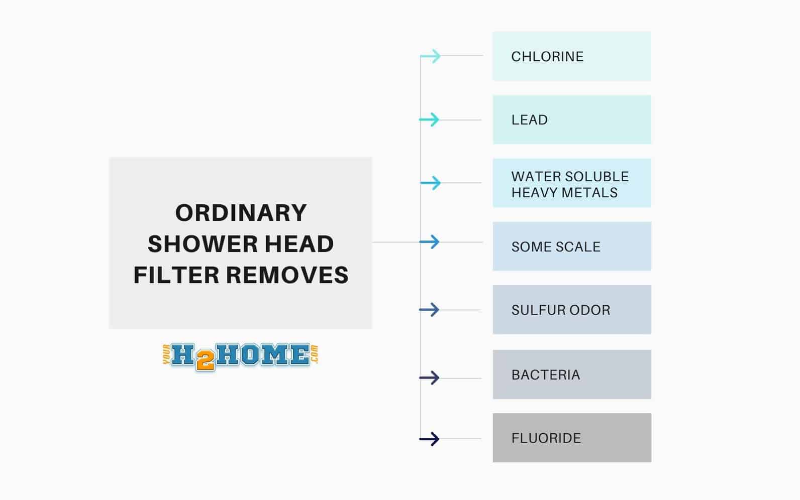 The Truth About Shower Head Filters Are They Worth It? Your H2Home